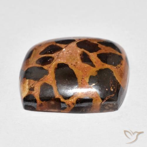 Jaspe Multicolorido Natural 14.39ct, Almofada, Opaco