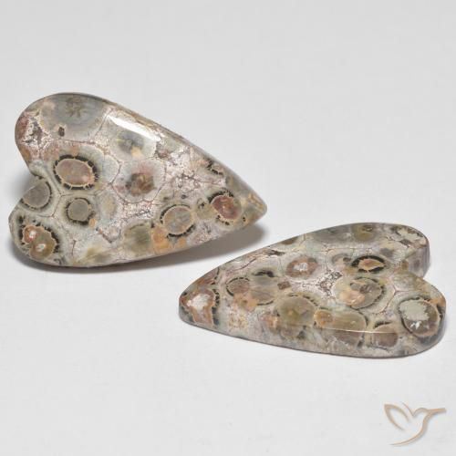 Pedras preciosas de Jaspe Multicolorido natural de 16.26 ct, Coração, Opaco