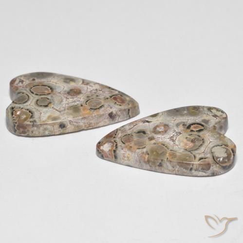 Pedras preciosas de Jaspe Multicolorido natural de 16.26 ct, Coração, Opaco