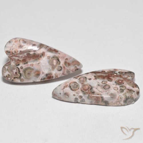 Pedras preciosas de Jaspe Multicolorido natural de 17.92 ct, Coração, Opaco