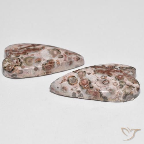 Pedras preciosas de Jaspe Multicolorido natural de 17.92 ct, Coração, Opaco