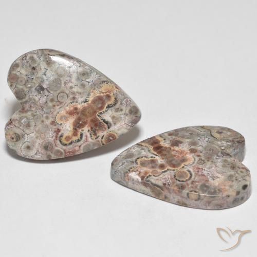 Pedras preciosas de Jaspe Multicolorido natural de 22.13 ct, Coração, Opaco