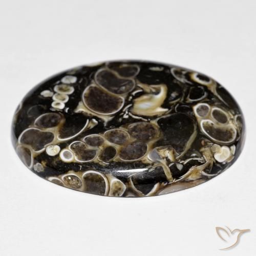 Jaspe Multicolorido Natural 44.38ct, oval, Opaco