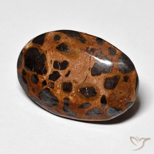 Jaspe Multicolorido Natural 21.84ct, oval, Opaco