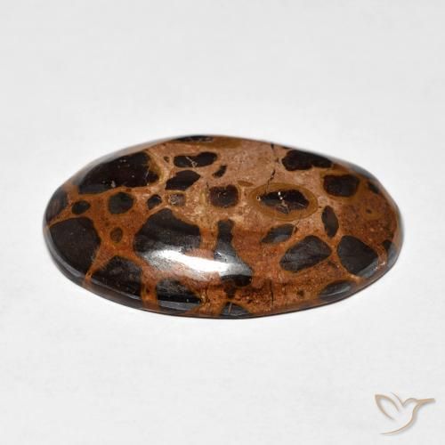 Jaspe Multicolorido Natural 21.84ct, oval, Opaco