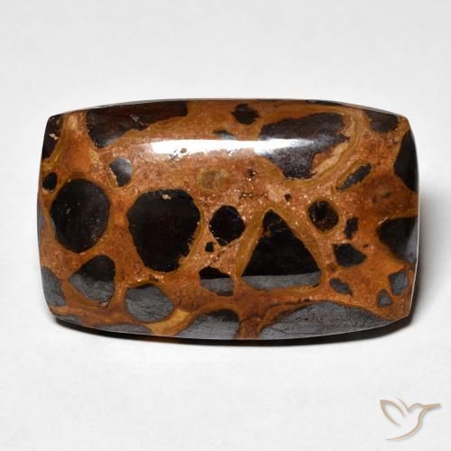 25.23ct Natural Multicolorido Jaspe, Almofada, Opaco