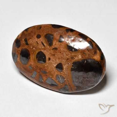 Jaspe Multicolorido Natural 21.98ct, oval, Opaco