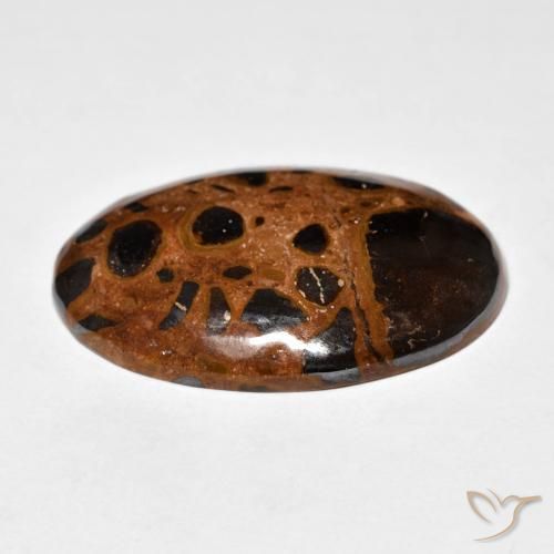 Jaspe Multicolorido Natural 21.98ct, oval, Opaco
