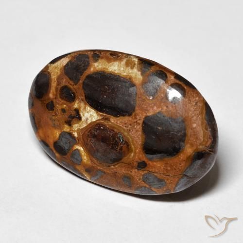 Jaspe Multicolorido Natural 19.43ct, oval, Opaco