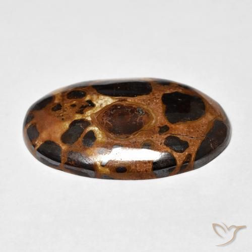 Jaspe Multicolorido Natural 19.43ct, oval, Opaco