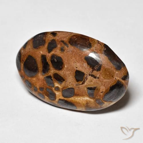 Jaspe Multicolorido Natural 20.50ct, oval, Opaco