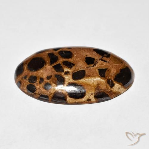 Jaspe Multicolorido Natural 20.50ct, oval, Opaco