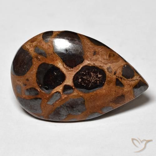 Jaspe Multicolorido Natural 18.20ct, Formato de pêra, Opaco