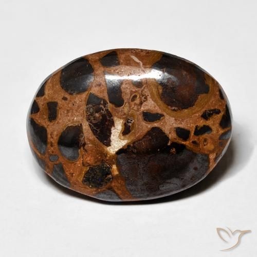 19.16ct Natural Multicolorido Jaspe, oval, Opaco