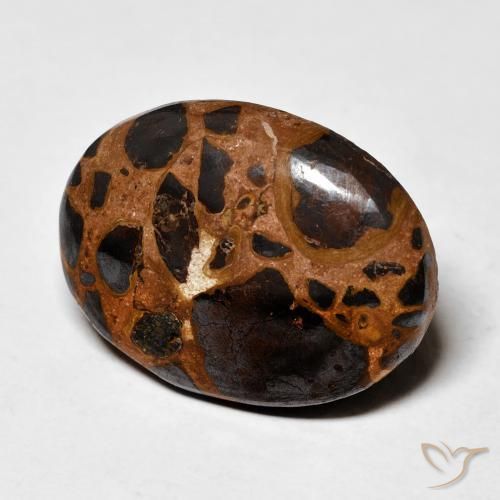 Jaspe Multicolorido Natural 19.16ct, oval, Opaco