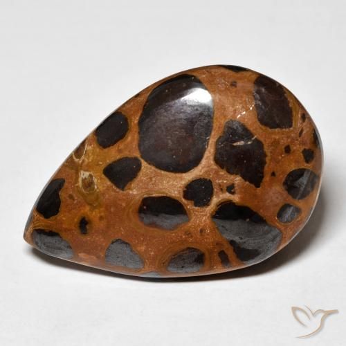 24.78ct Natural Multicolorido Jaspe, Formato de pêra, Opaco