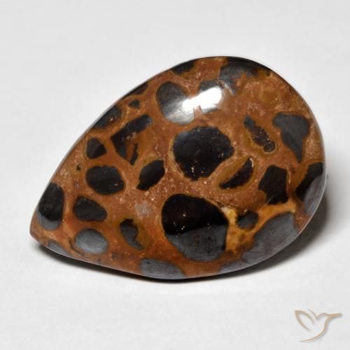 21.66ct Natural Multicolorido Jaspe, Formato de pêra, Opaco
