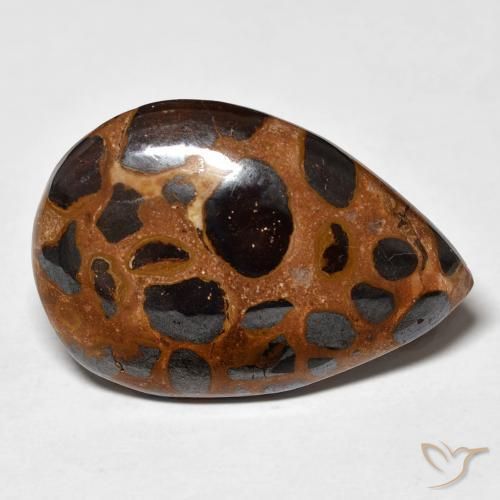 Jaspe Multicolorido Natural 21.66ct, Formato de pêra, Opaco