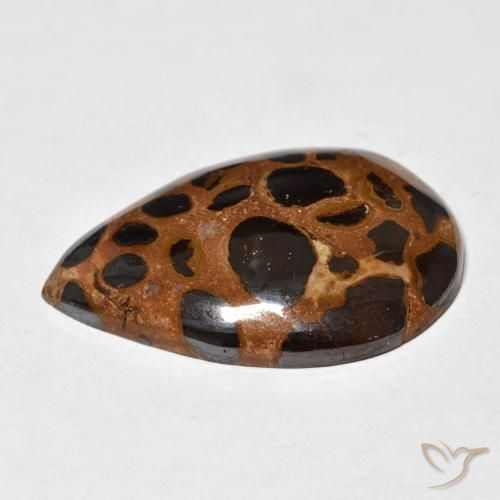 Jaspe Multicolorido Natural 21.66ct, Formato de pêra, Opaco