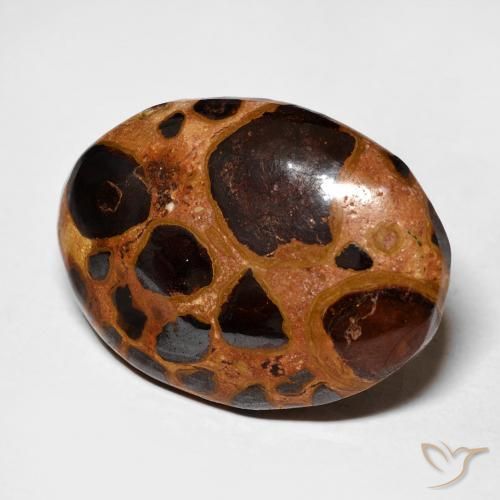 Jaspe Multicolorido Natural 17.45ct, oval, Opaco