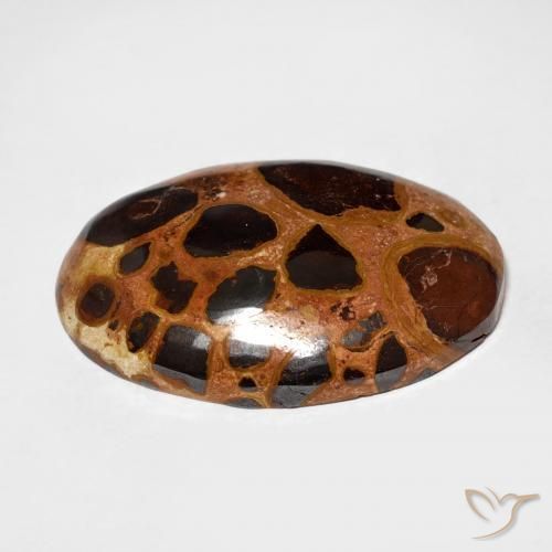 Jaspe Multicolorido Natural 17.45ct, oval, Opaco