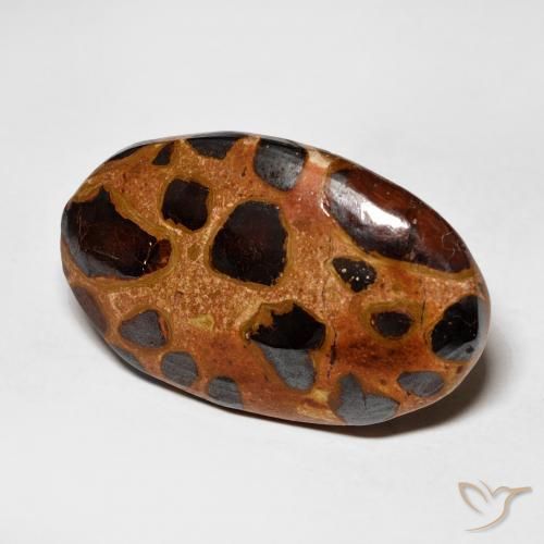Jaspe Multicolorido Natural 15.06ct, oval, Opaco