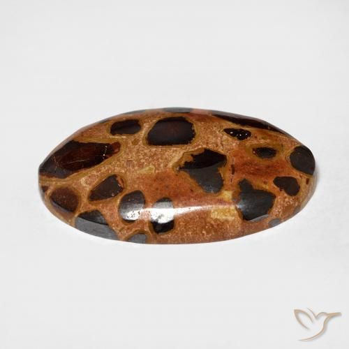 Jaspe Multicolorido Natural 15.06ct, oval, Opaco