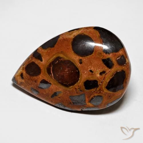 15.69ct Natural Multicolorido Jaspe, Formato de pêra, Opaco