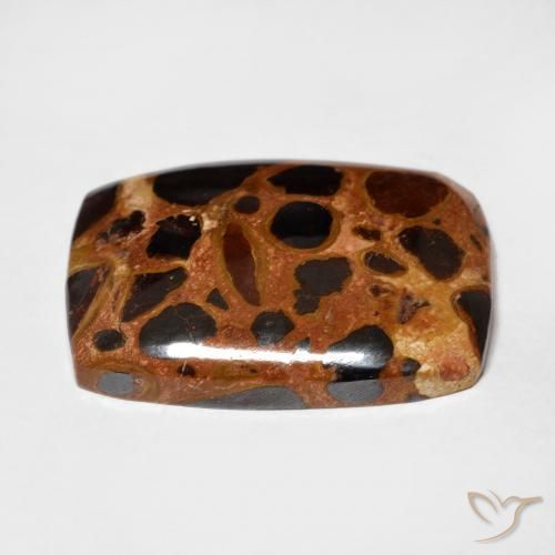 Jaspe Multicolorido Natural 18.87ct, Almofada, Opaco