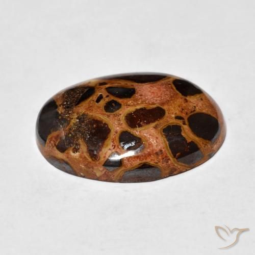 Jaspe Multicolorido Natural 14.26ct, oval, Opaco