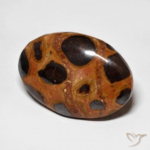 Jaspe Multicolorido Natural 16.68ct, oval, Opaco