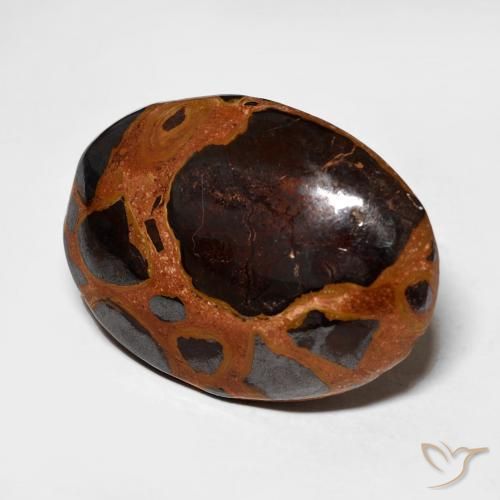 Jaspe Multicolorido Natural 13.64ct, oval, Opaco