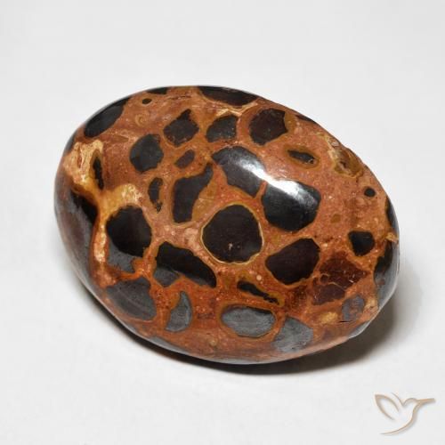 Jaspe Multicolorido Natural 25.43ct, oval, Opaco