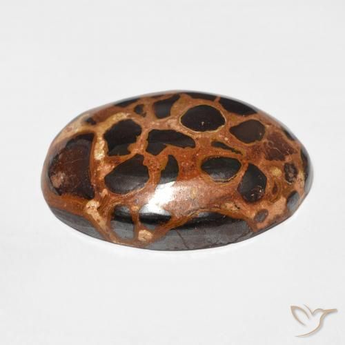 Jaspe Multicolorido Natural 25.43ct, oval, Opaco