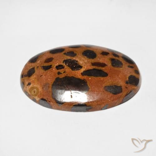 Jaspe Multicolorido Natural 17.25ct, oval, Opaco