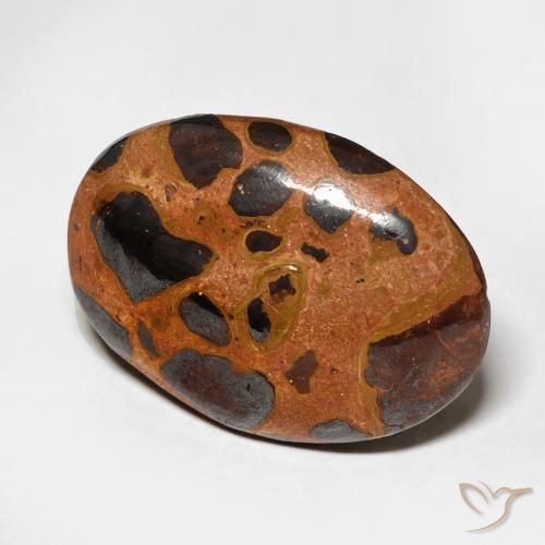 Jaspe Multicolorido Natural 17.08ct, oval, Opaco