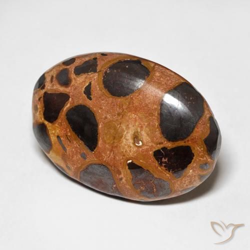 Jaspe Multicolorido Natural 17.65ct, oval, Opaco
