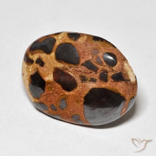 Jaspe Multicolorido Natural 15.22ct, oval, Opaco