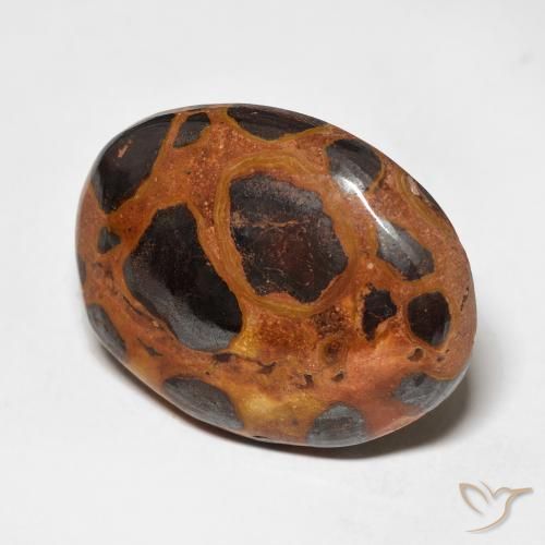 Jaspe Multicolorido Natural 17.65ct, oval, Opaco