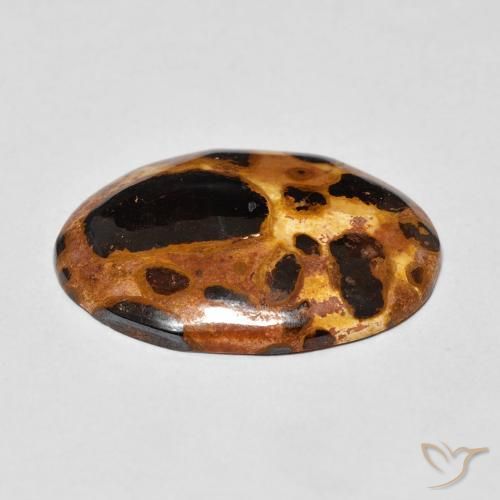 Jaspe Multicolorido Natural 12.26ct, oval, Opaco