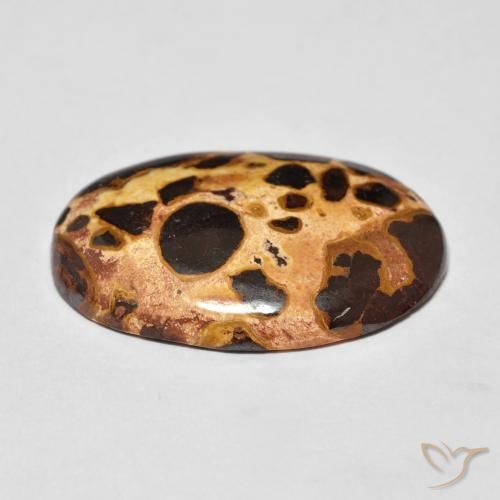 Jaspe Multicolorido Natural 16.03ct, oval, Opaco