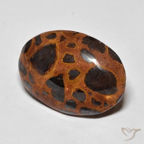 Jaspe Multicolorido Natural 13.01ct, oval, Opaco