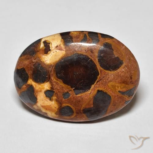 14.20ct Natural Multicolorido Jaspe, oval, Opaco, Photo A