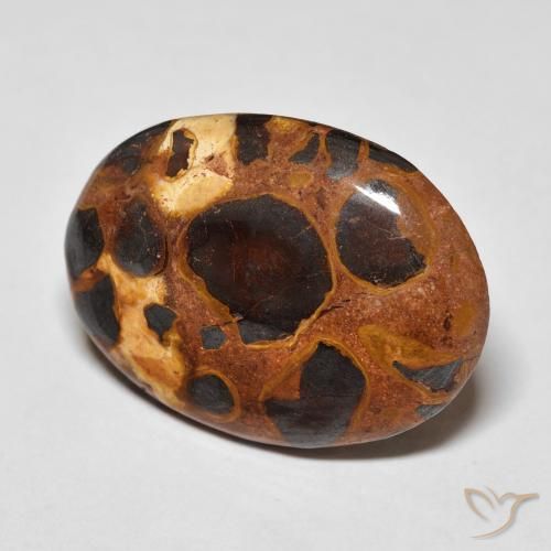Jaspe Multicolorido Natural 14.20ct, oval, Opaco