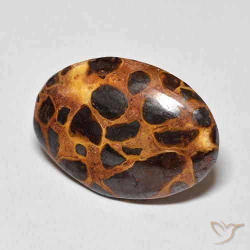 Jaspe Multicolorido Natural 13.57ct, oval, Opaco