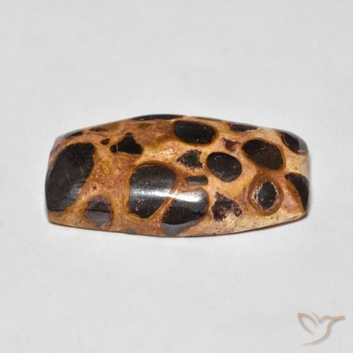 Jaspe Multicolorido Natural 15.23ct, Almofada, Opaco