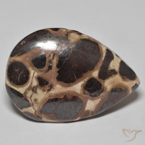 Jaspe Multicolorido Natural 18.58ct, Formato de pêra, Opaco