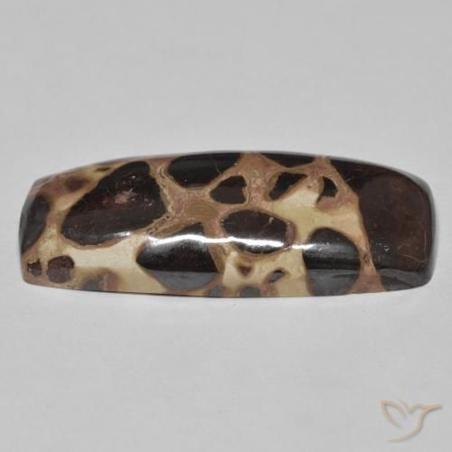 Jaspe Multicolorido Natural 19.09ct, Almofada, Opaco