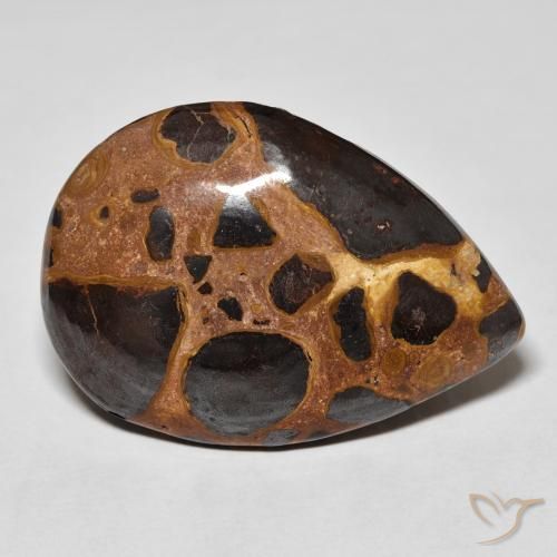 Jaspe Multicolorido Natural 20.87ct, Formato de pêra, Opaco