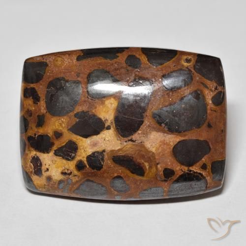 42.68ct Natural Multicolorido Jaspe, Almofada, Opaco